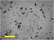 第9页-34 第9页-34