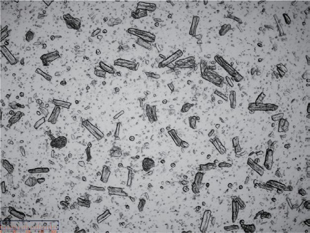 第6页-15 第6页-15